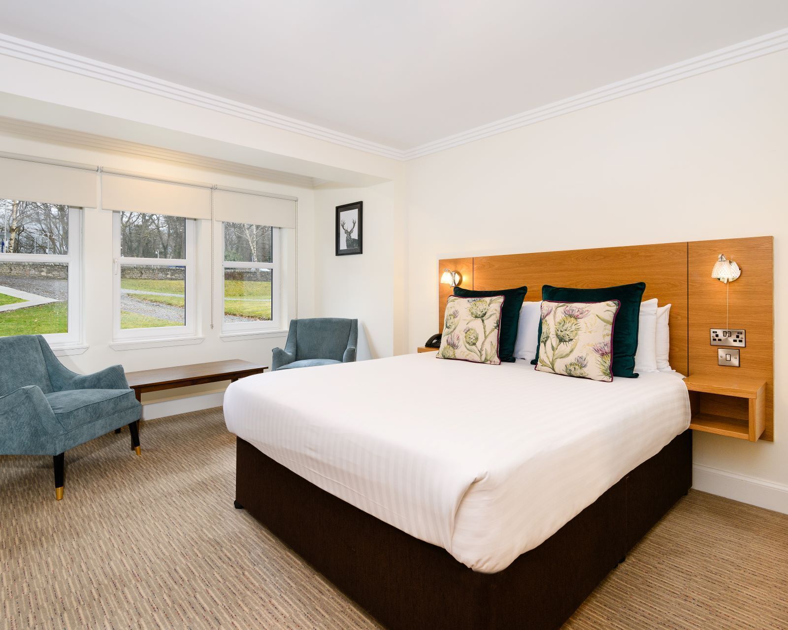 A hotel room with a large bed, two armchairs, a wooden nightstand, and a view of a park through the windows.