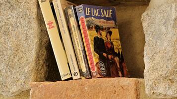 Une étagère en pierre avec des livres.