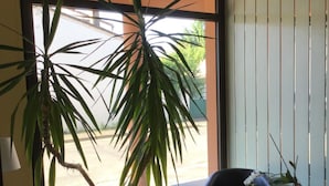 Un espacio de oficina moderno con un ventanal grande, un sillón de cuero negro, una mesita de café con libros y una planta en maceta.