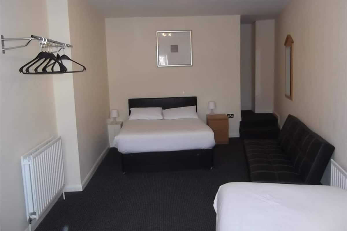A hotel room with a bed, a sofa, a radiator, a hanging clothes rack, a bedside table with a lamp, and a framed picture on the wall.