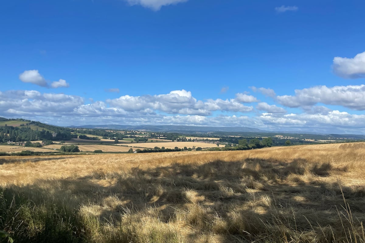 A wide landscape with rolling hills and a clear blue sky.