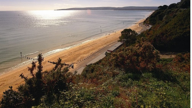 Une plage côtière avec un ciel dégagé, un rivage sablonneux et une falaise herbeuse.