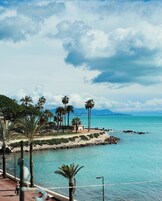 A coastal promenade with palm trees, a small pavilion, and a rocky shoreline.