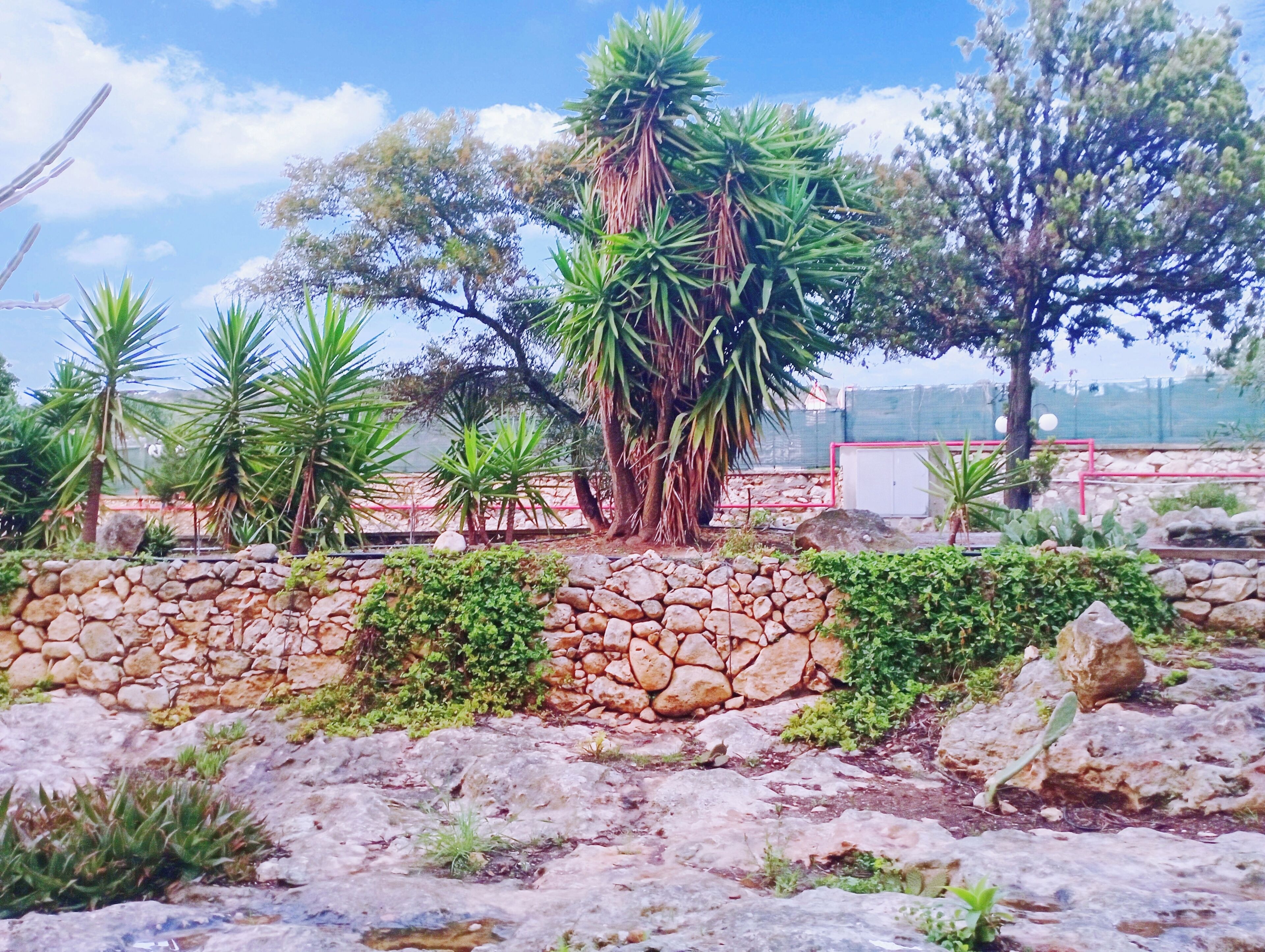 Photo - Hotel Calamosca