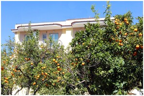 Fachada del alojamiento