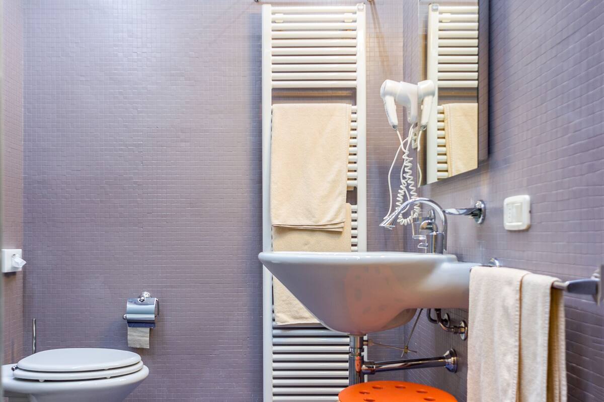 double or twin room | bathroom | shower, free toiletries, hair dryer, bidet