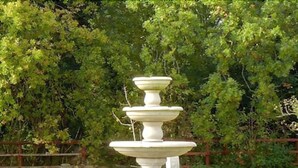 Ein mehrstufiger Steinbrunnen in einer grünen Rasenfläche, im Hintergrund üppiges Grün.