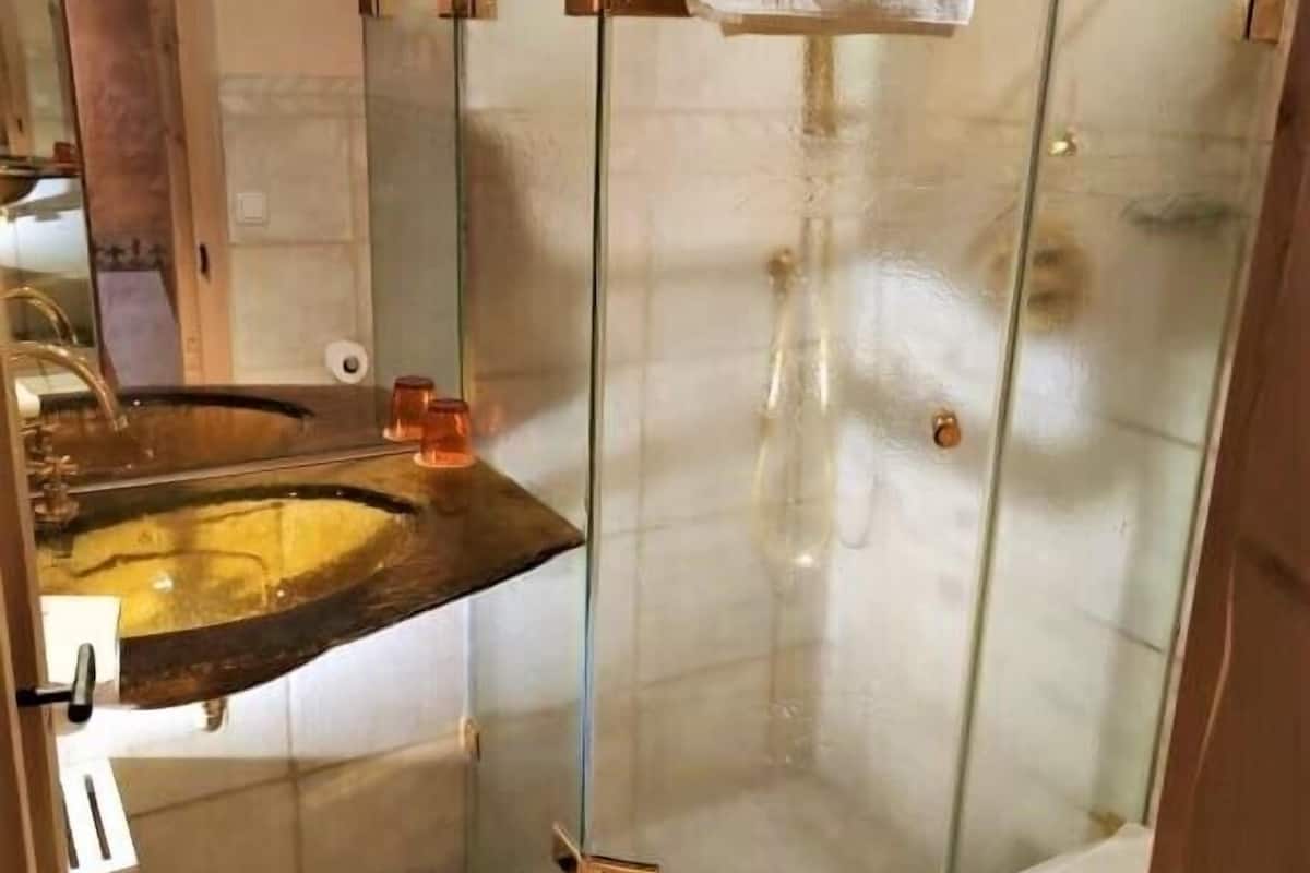 economy single room | bathroom | shower, free toiletries, hair dryer, towels