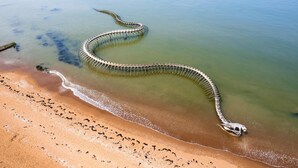 Ein Strand mit einer großen, runden Struktur, die ins Wasser hineinragt.