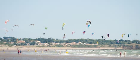A beach with people and kites.