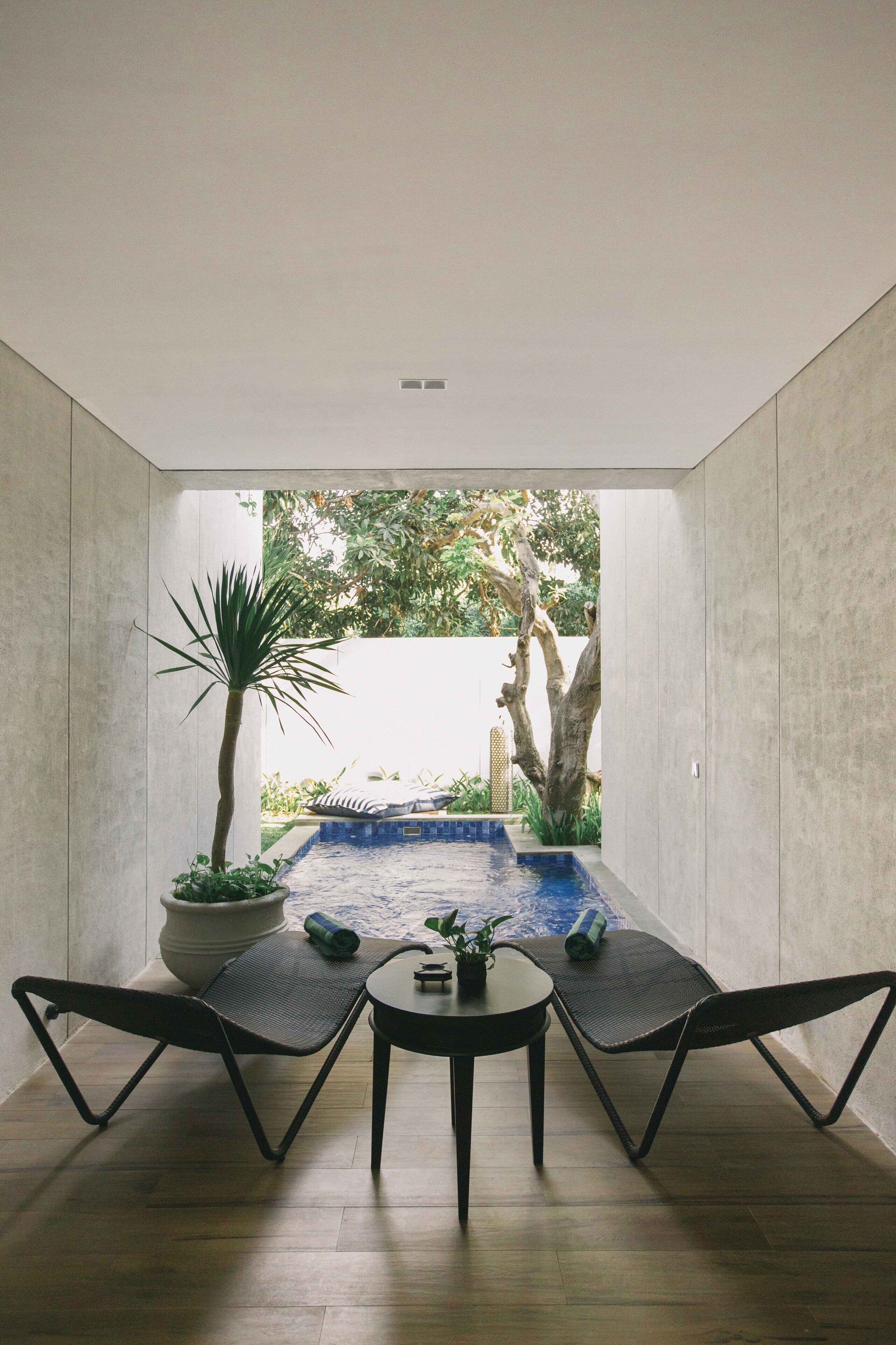 Un intérieur moderne avec une piscine, deux chaises longues et une plante en pot.