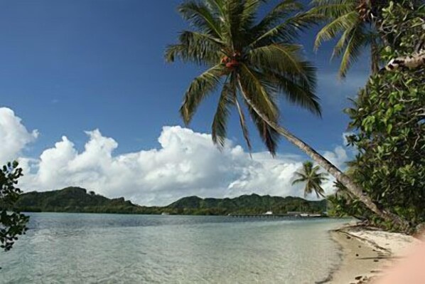 On the beach, scuba diving
