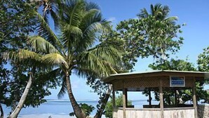 Un kiosque agrémenté d’une enseigne, entouré de palmiers et offrant une vue sur l’océan.
