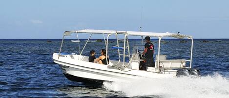 A small motorboat with a canopy, two passengers, and a driver on the water.