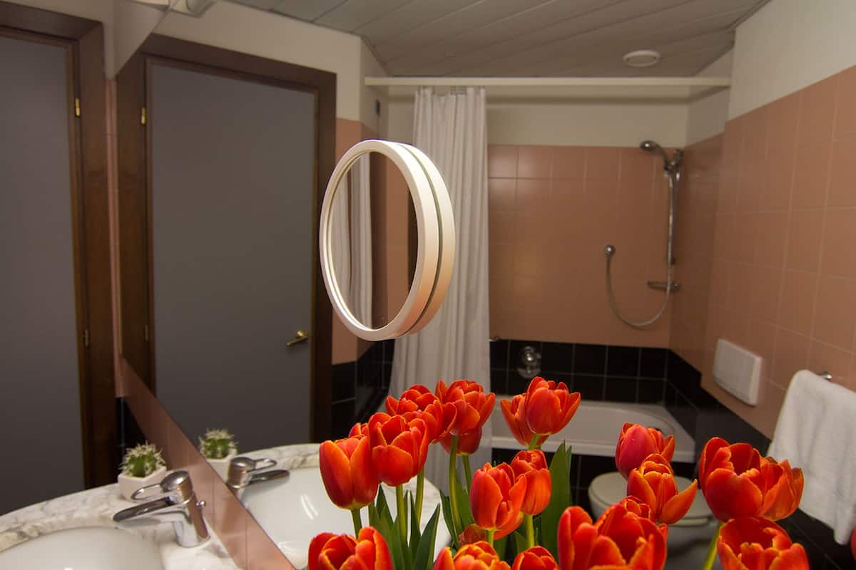 shower, free toiletries, hair dryer, bidet