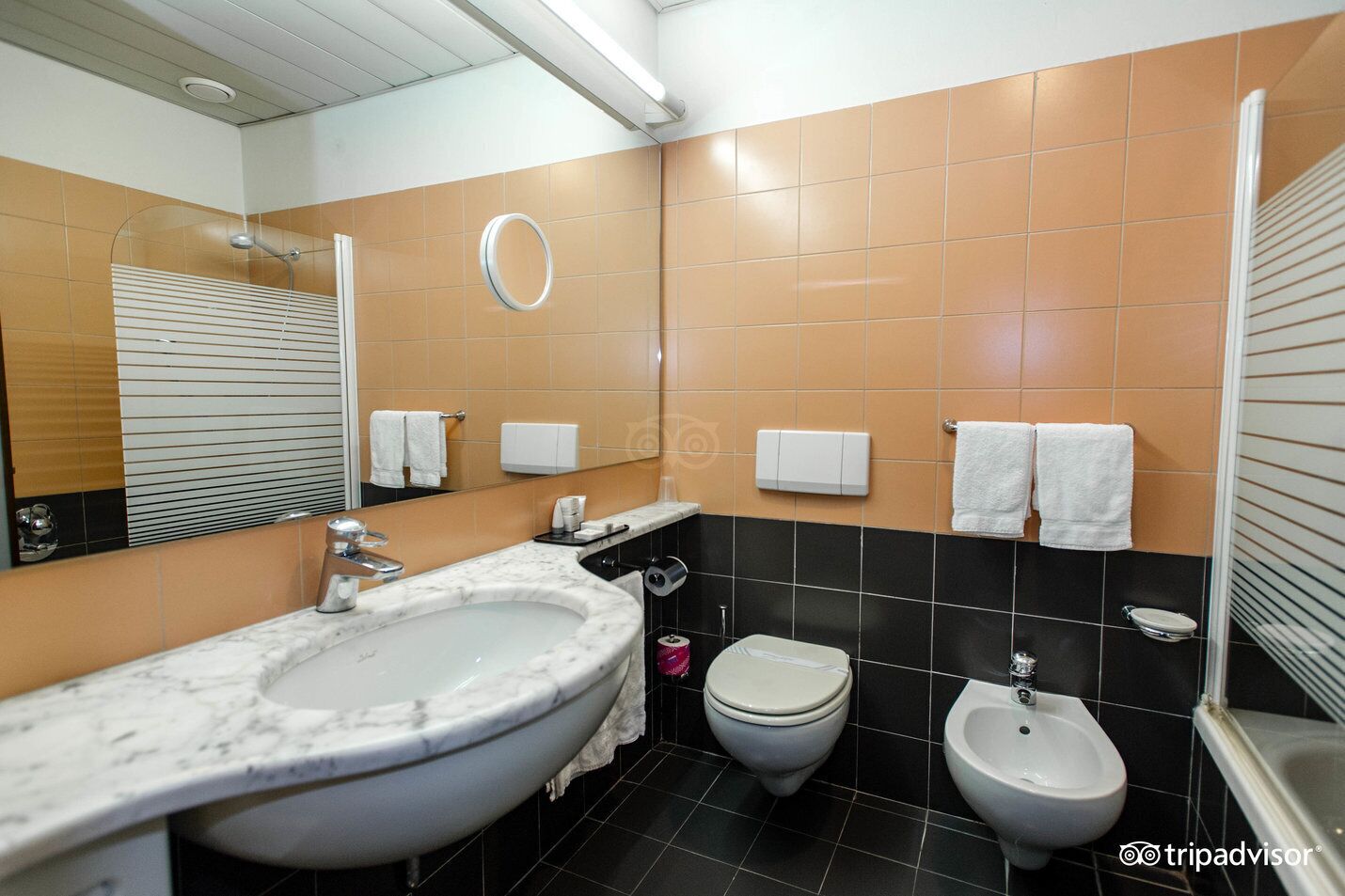 deluxe double room single use | bathroom | shower, free toiletries, hair dryer, bidet