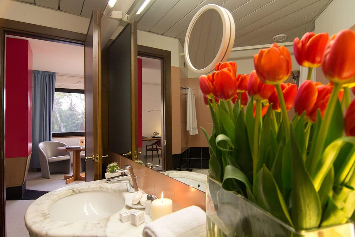 shower, free toiletries, hair dryer, bidet