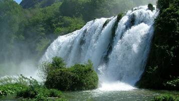 Ein Wasserfall stürzt über eine felsige Klippe, umgeben von üppiger Vegetation.