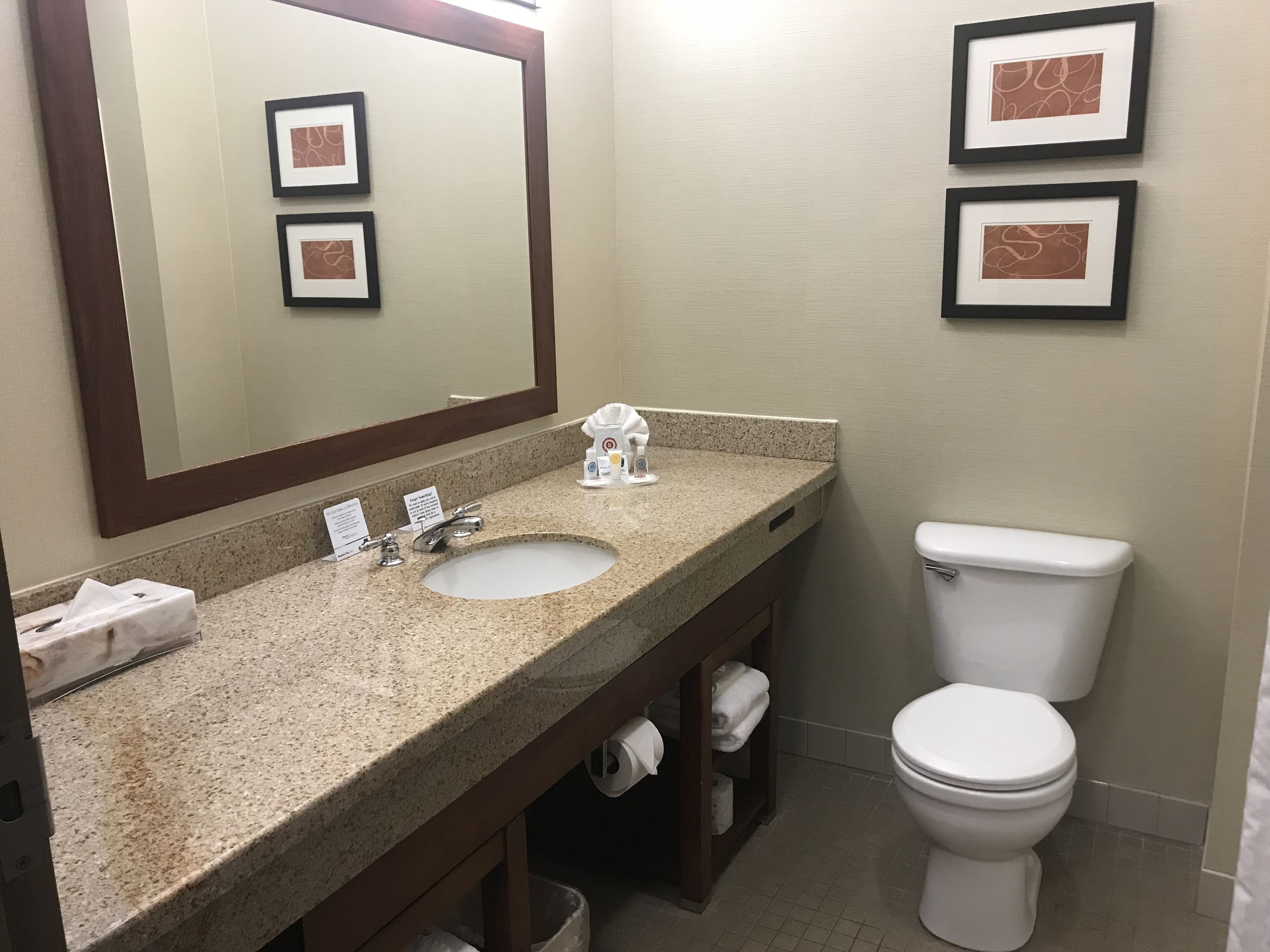 combined shower/bathtub, free toiletries, hair dryer, towels