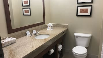 A bathroom with a granite sink, a mirror, a toilet, and framed artwork on the wall.