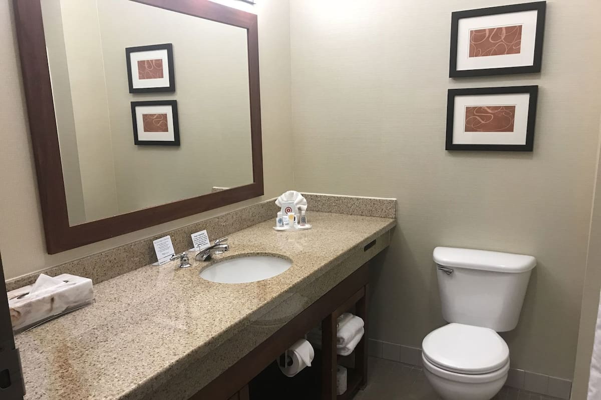 Baño | Tina con regadera, amenidades de baño gratuitas, secadora de cabello