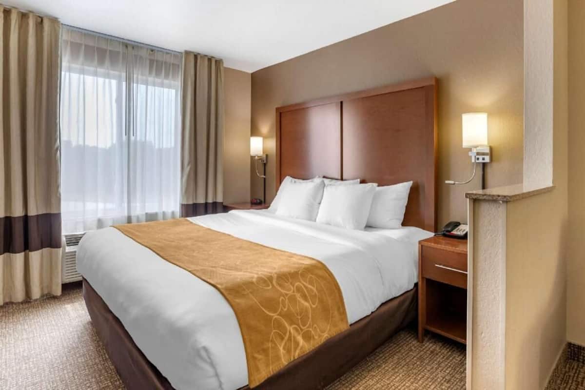 Una habitación de hotel con una cama grande, una mesita de noche con lámpara y un teléfono.