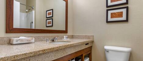 A bathroom with a granite countertop sink, a mirror, a toilet, and two framed pictures on the wall.