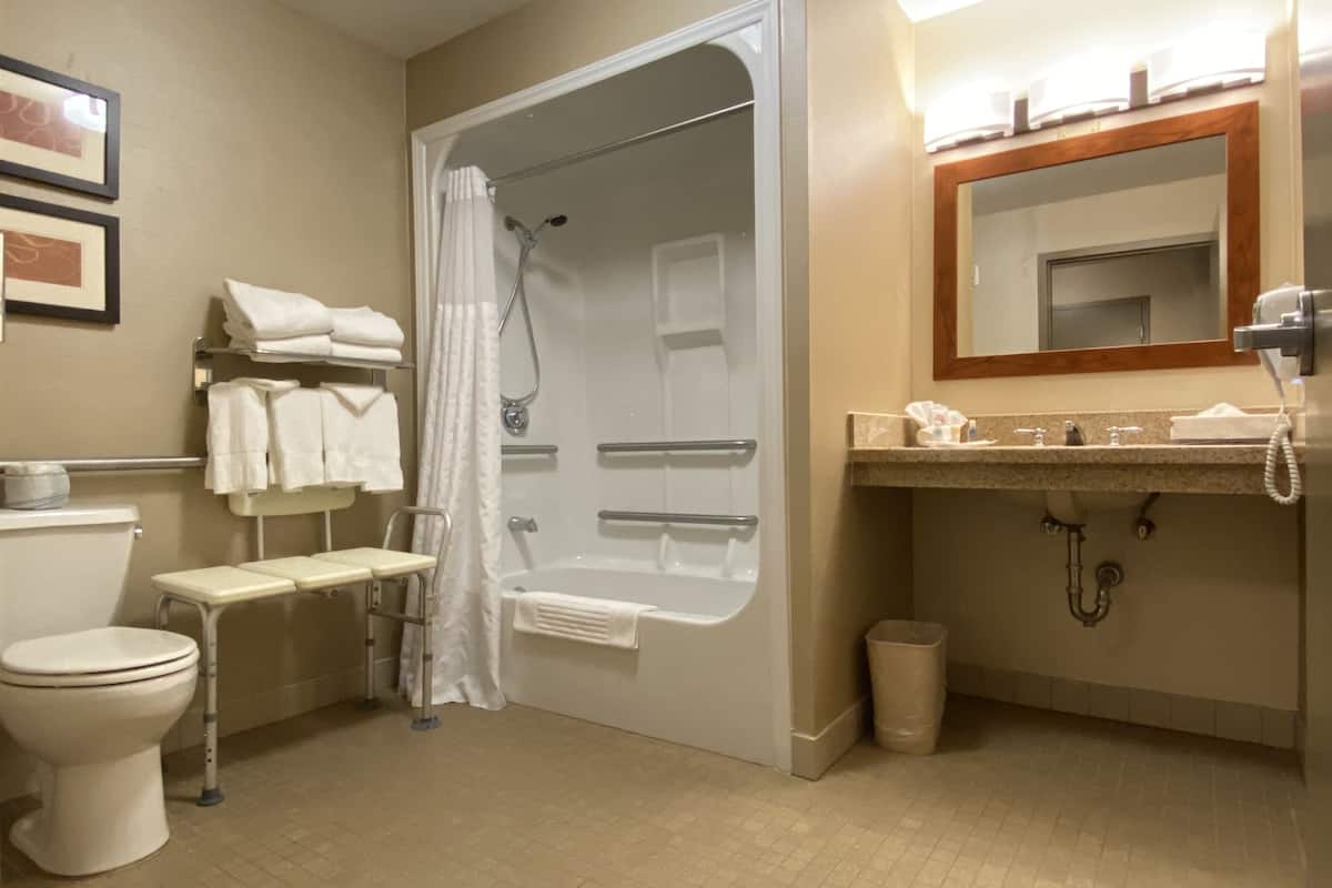 combined shower/bathtub, free toiletries, hair dryer, towels