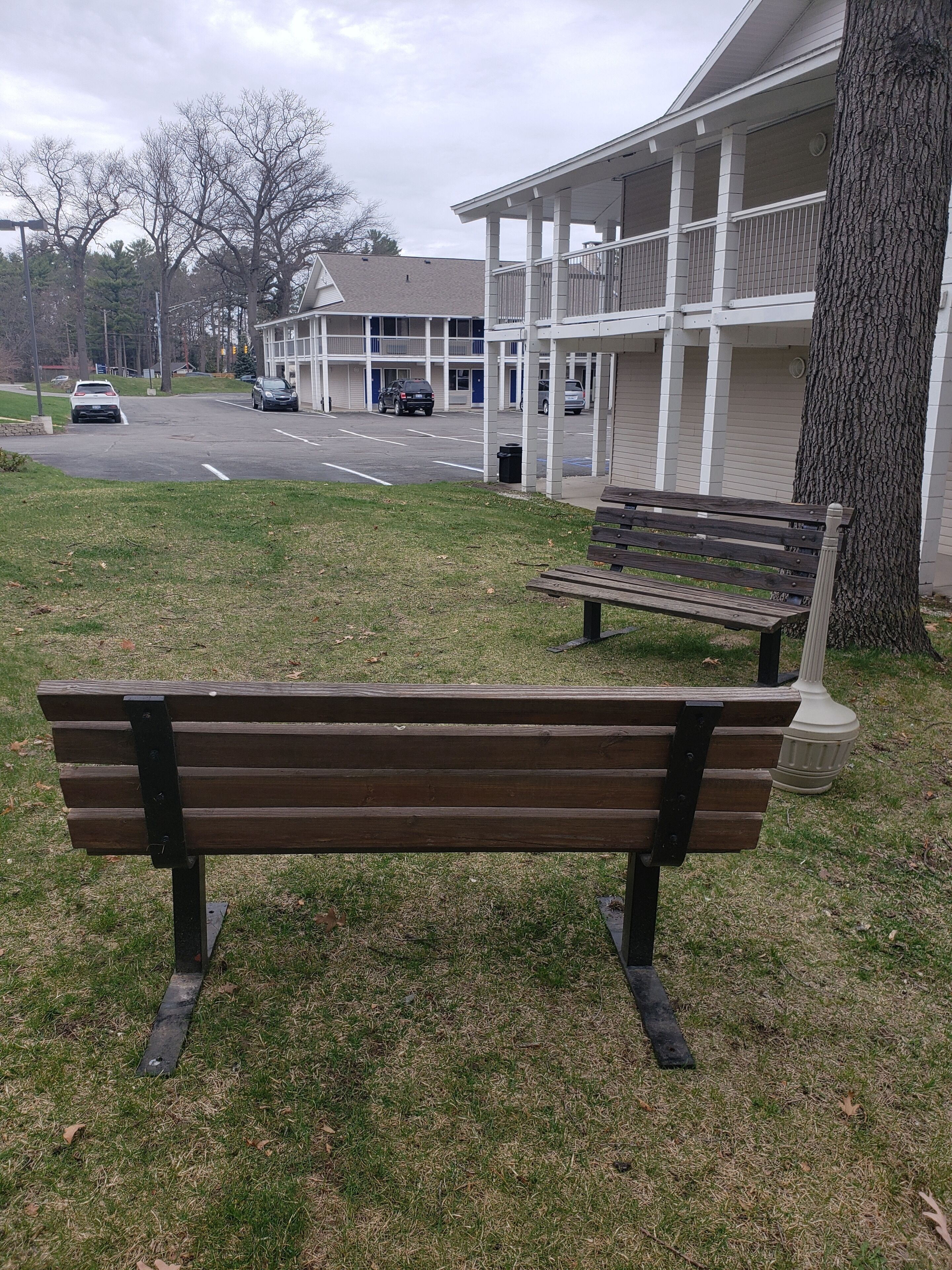 Un banc situé dans un espace verdoyant, avec un bâtiment en arrière-plan.