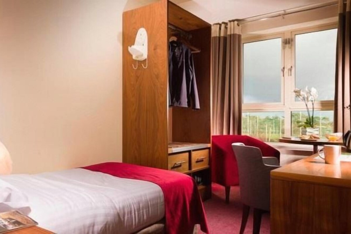A hotel room with a bed, a desk, a chair, a wardrobe, and a window with a view.