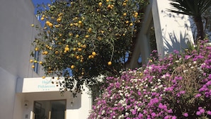 Fachada de la propiedad