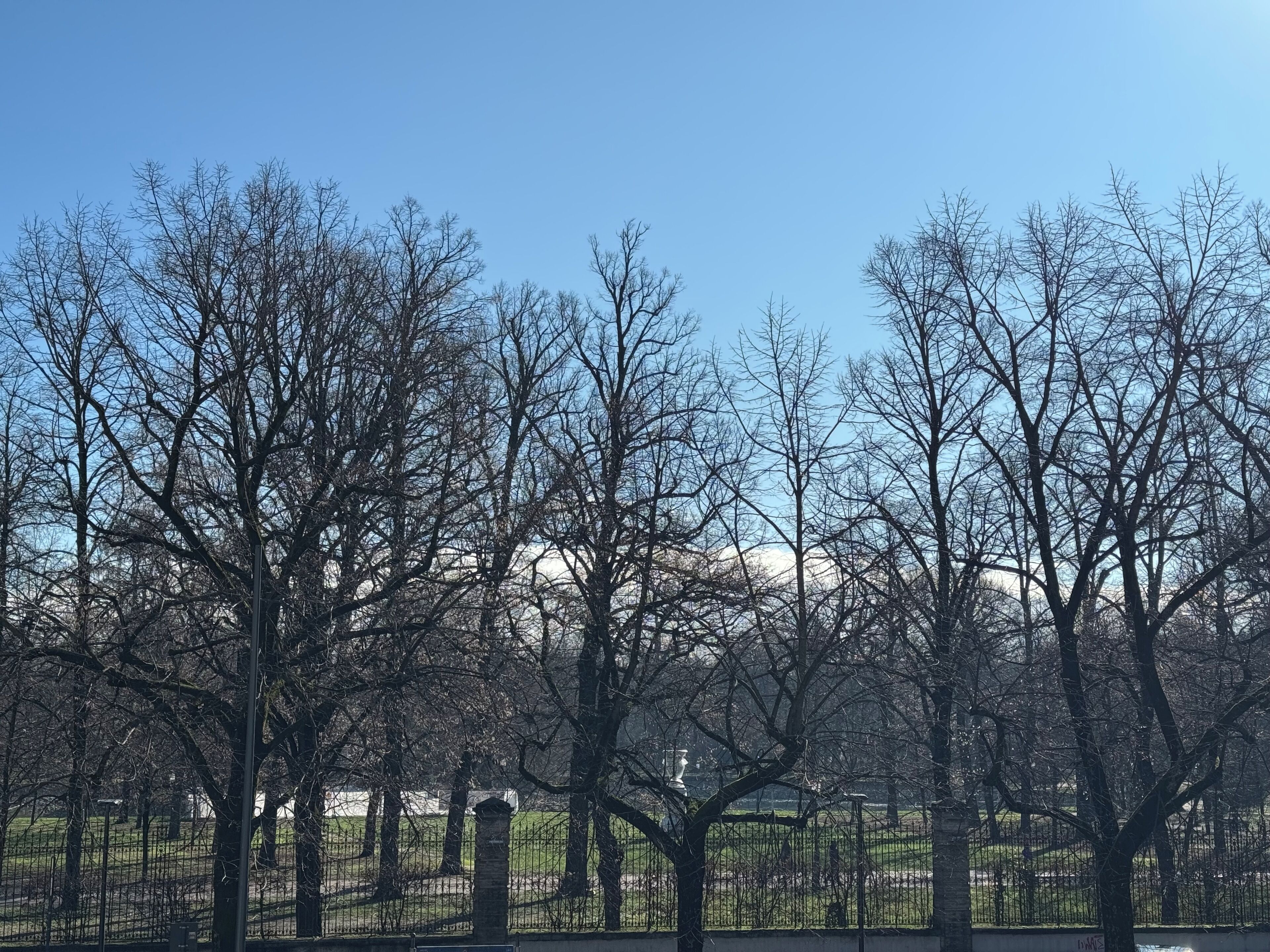 Foto - Verdi Boutique