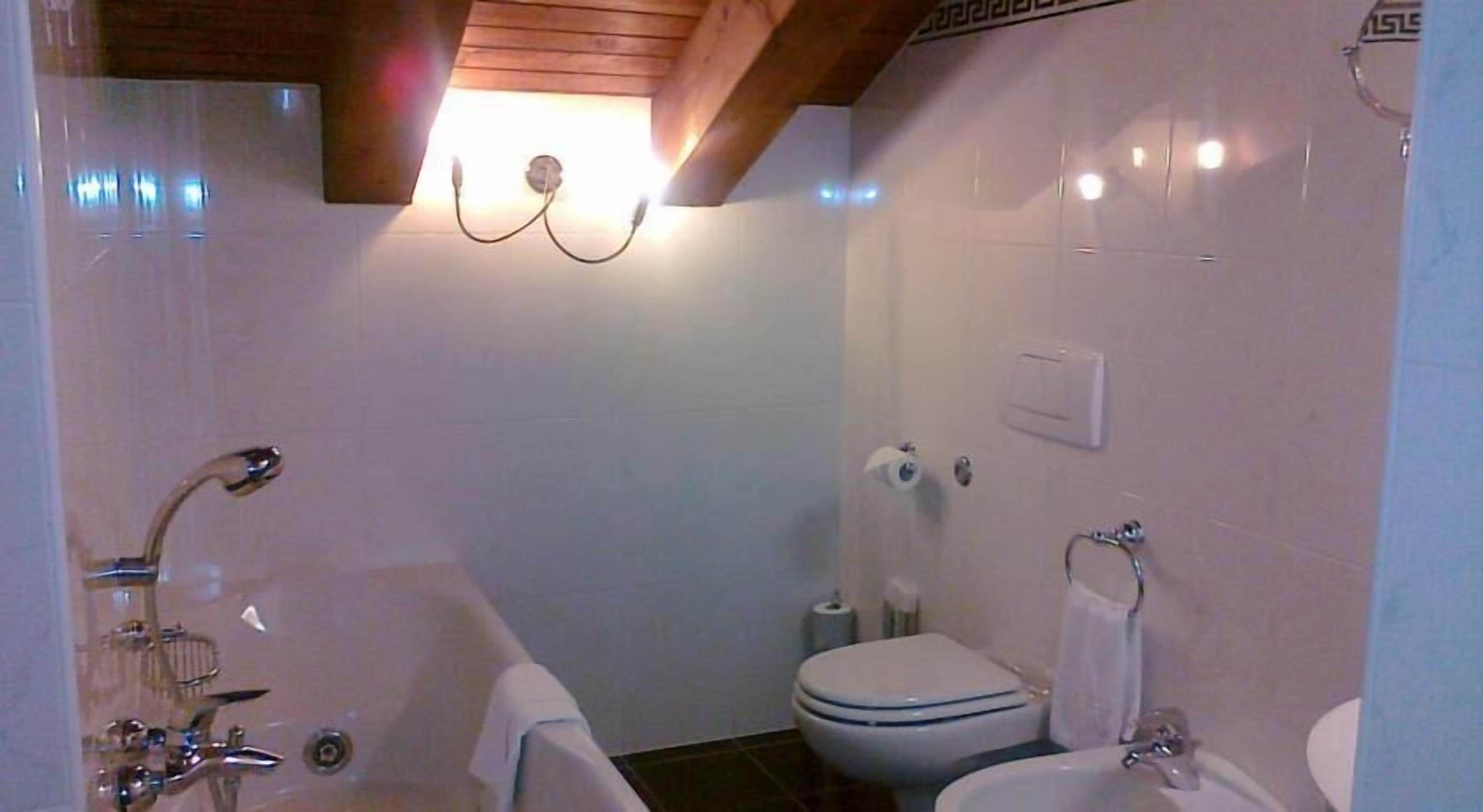 shower, hair dryer, slippers, bidet