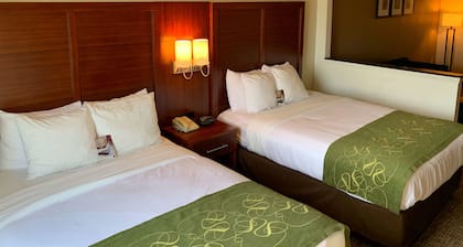 Comfort Suites Texas Ave.