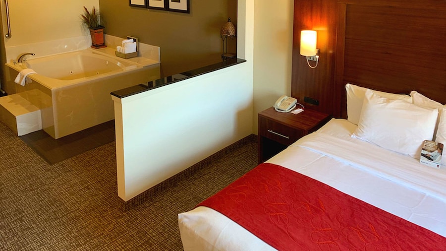 Comfort Suites Texas Ave.