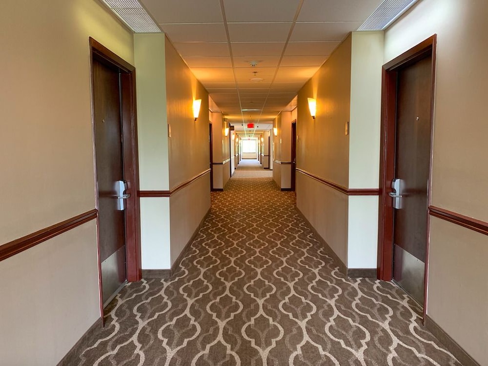 Comfort Suites Texas Ave. photo 6