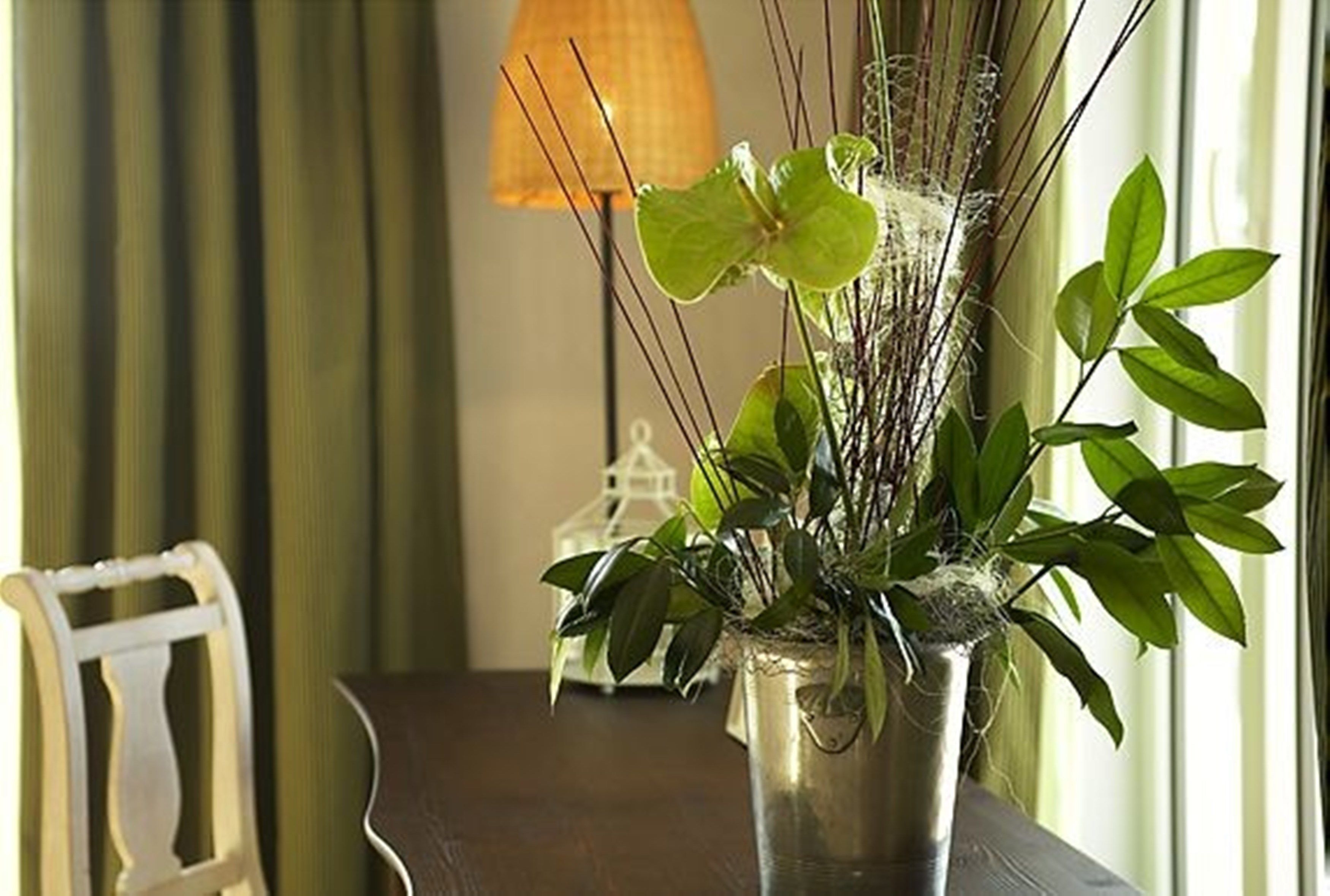 suite | view from room