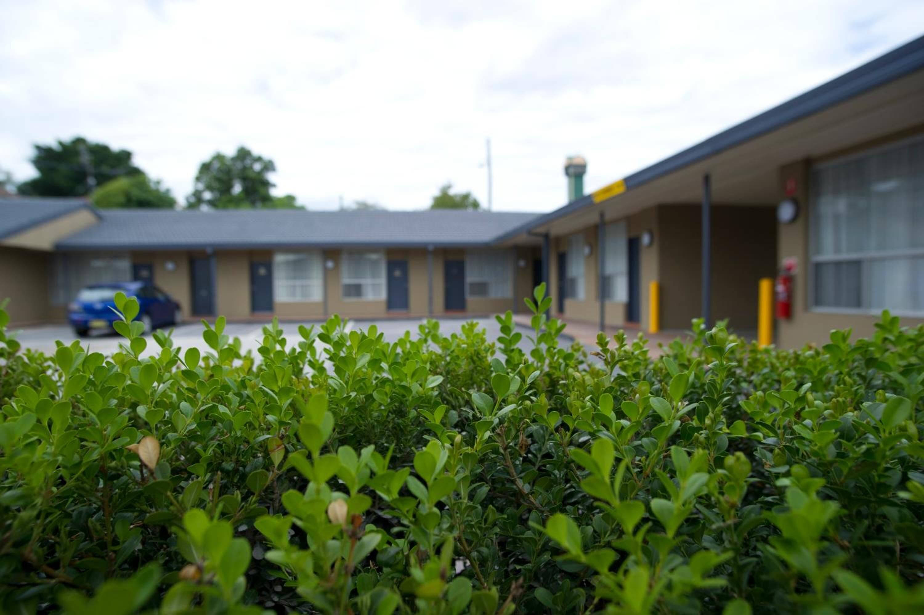 A motel with a parking lot and a building with a flat roof.