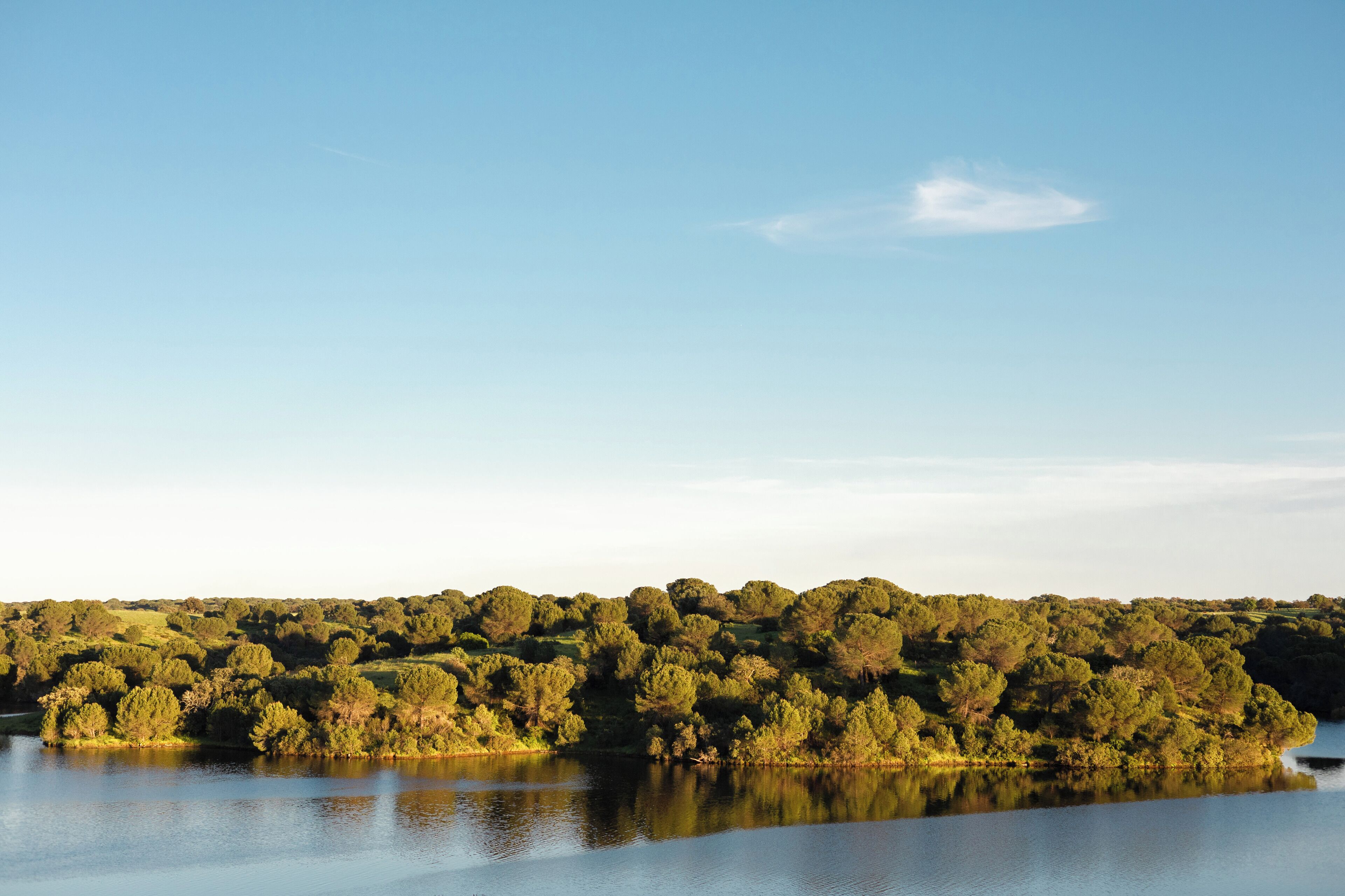 A serene lakeside landscape with dense greenery and a calm body of water reflecting the trees.