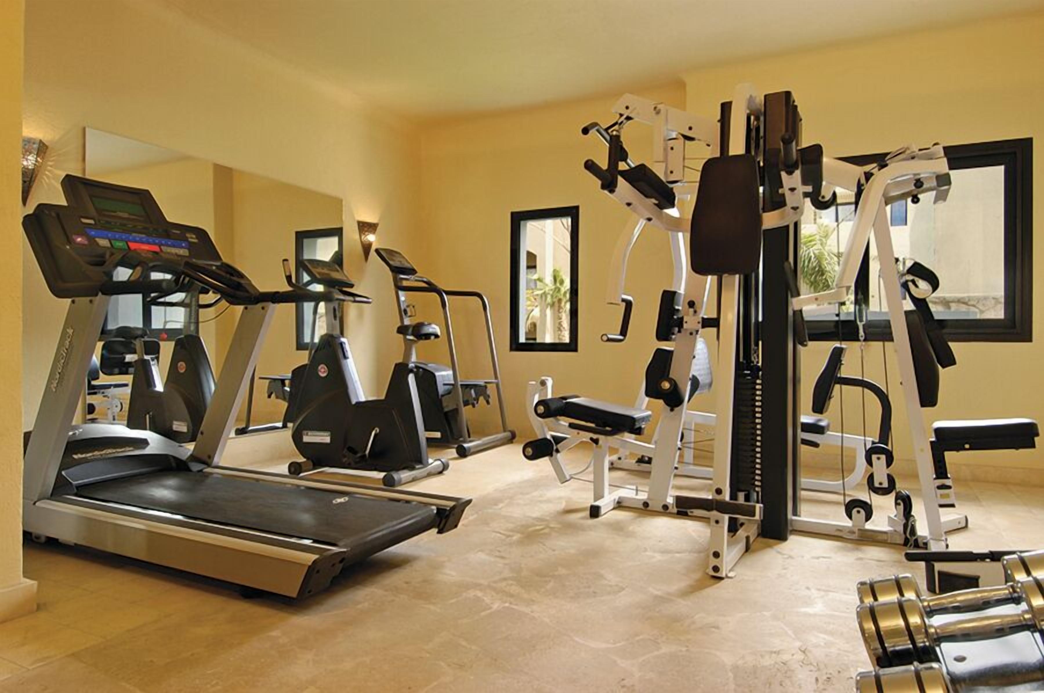 A gym with treadmills, weight machines, and free weights.