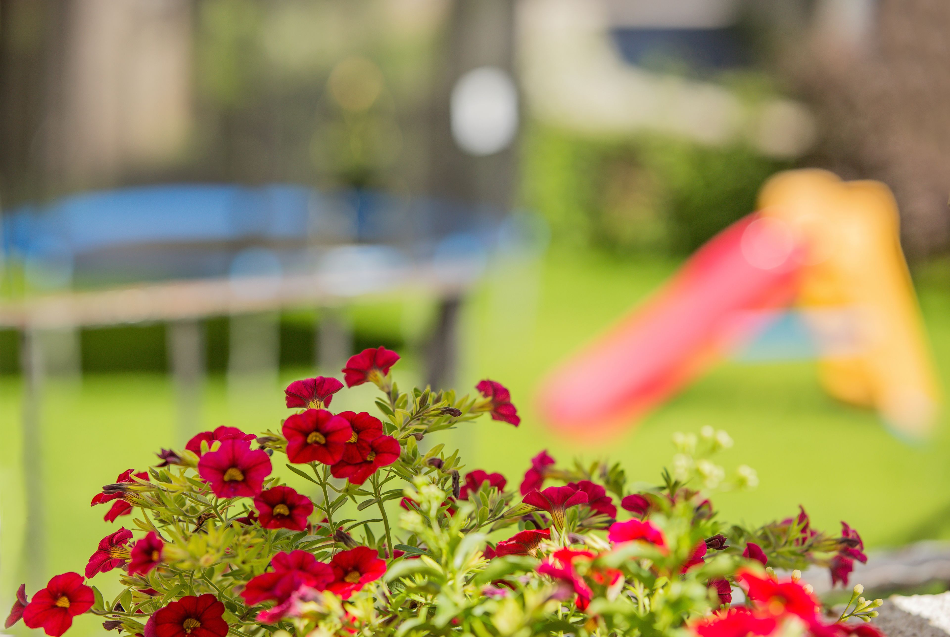 Photo - Hotel Gasthof Zum Kirchenwirt