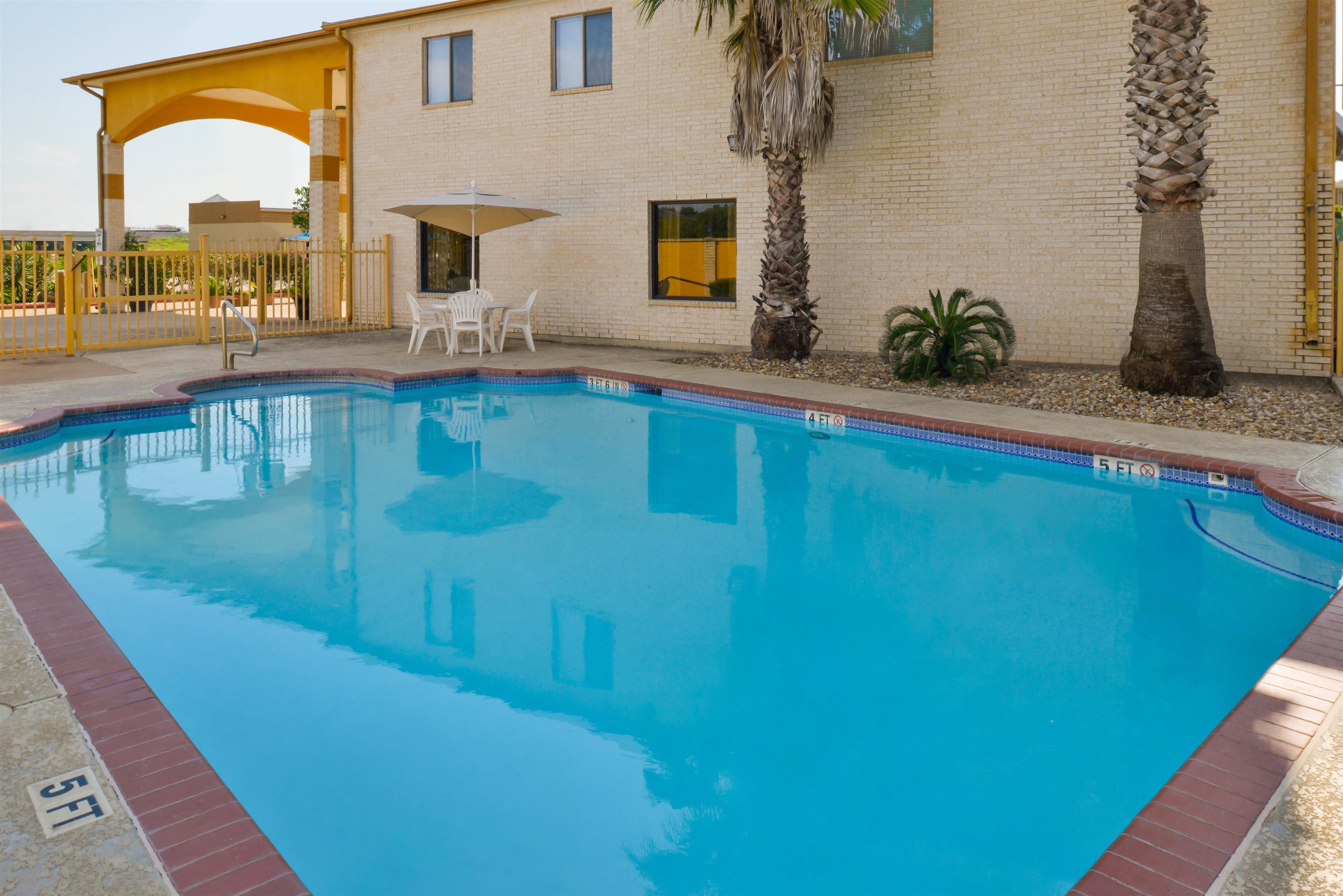 Una piscina con borde de ladrillo, una zona de estar cubierta y palmeras.