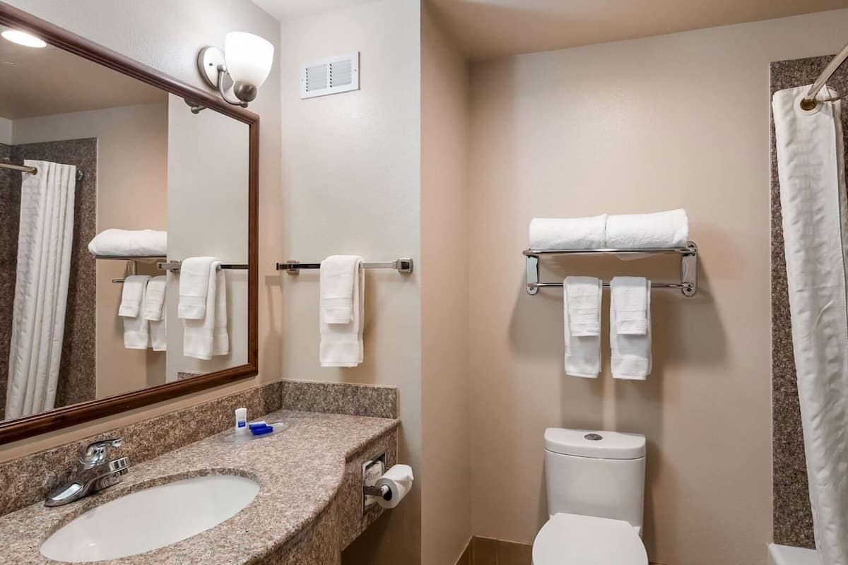 A bathroom with a sink, mirror, towel rack, toilet, and shower curtain.
