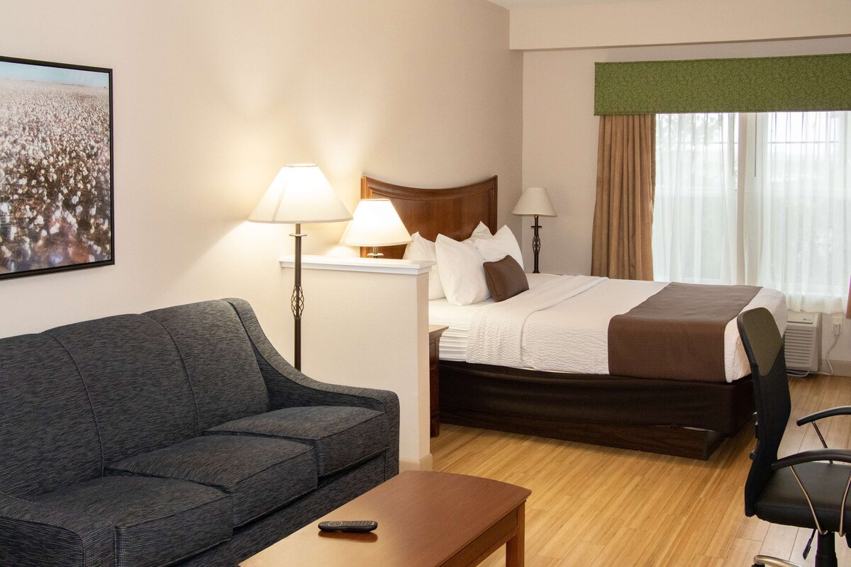A hotel room with a bed, a sofa, a table, and a chair.