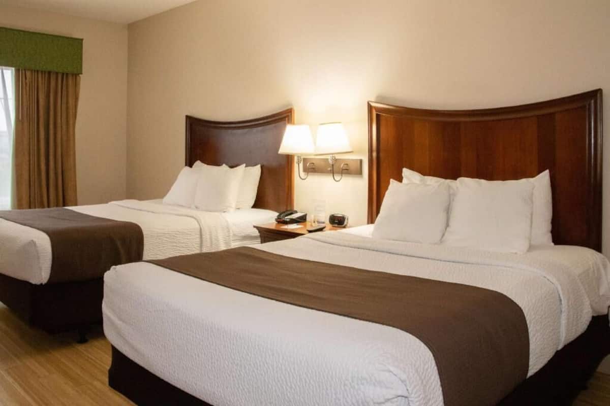 A hotel room with two beds, a nightstand with a lamp, and a window with curtains.