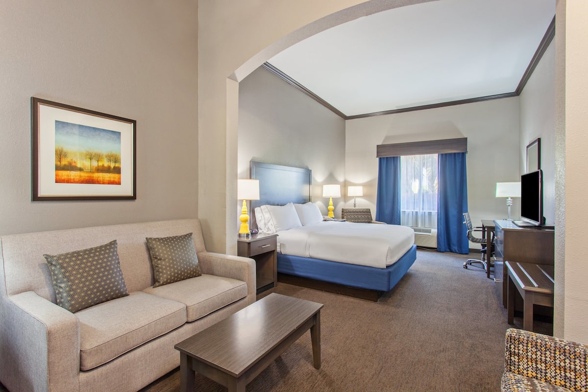A hotel room with a bed, a sofa, a desk, and a television.