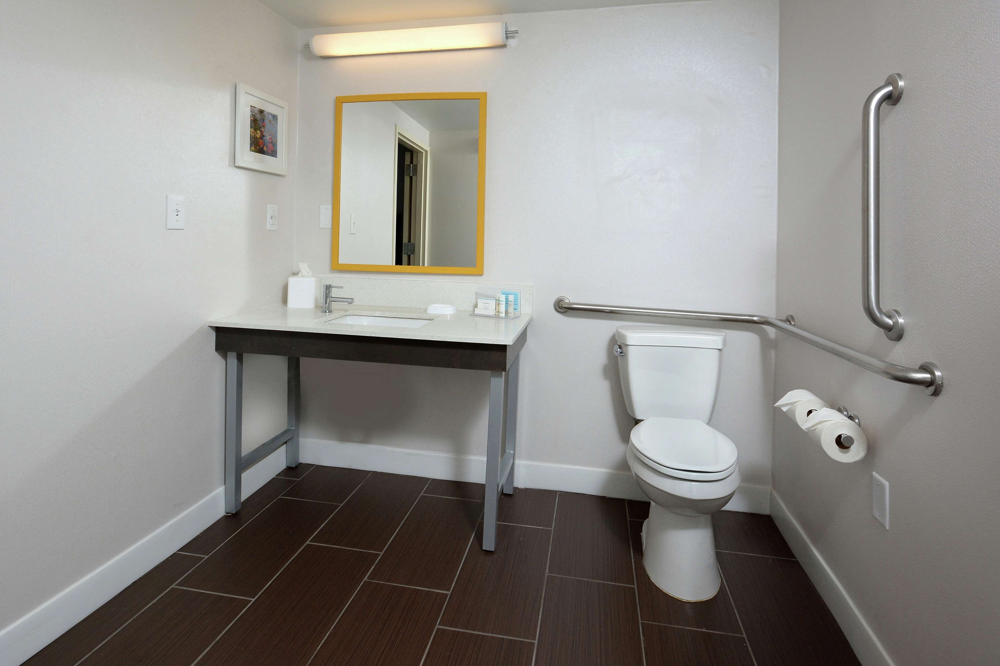 suite, 1 king bed, accessible, non smoking (mobility, roll-in shower) | bathroom | hair dryer, towels, soap, shampoo