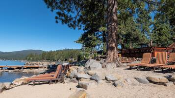 Une plage avec des chaises longues, un grand pin et une côte rocheuse.