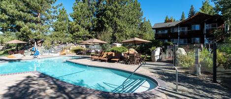 A swimming pool with lounge chairs and umbrellas, surrounded by trees and a building.