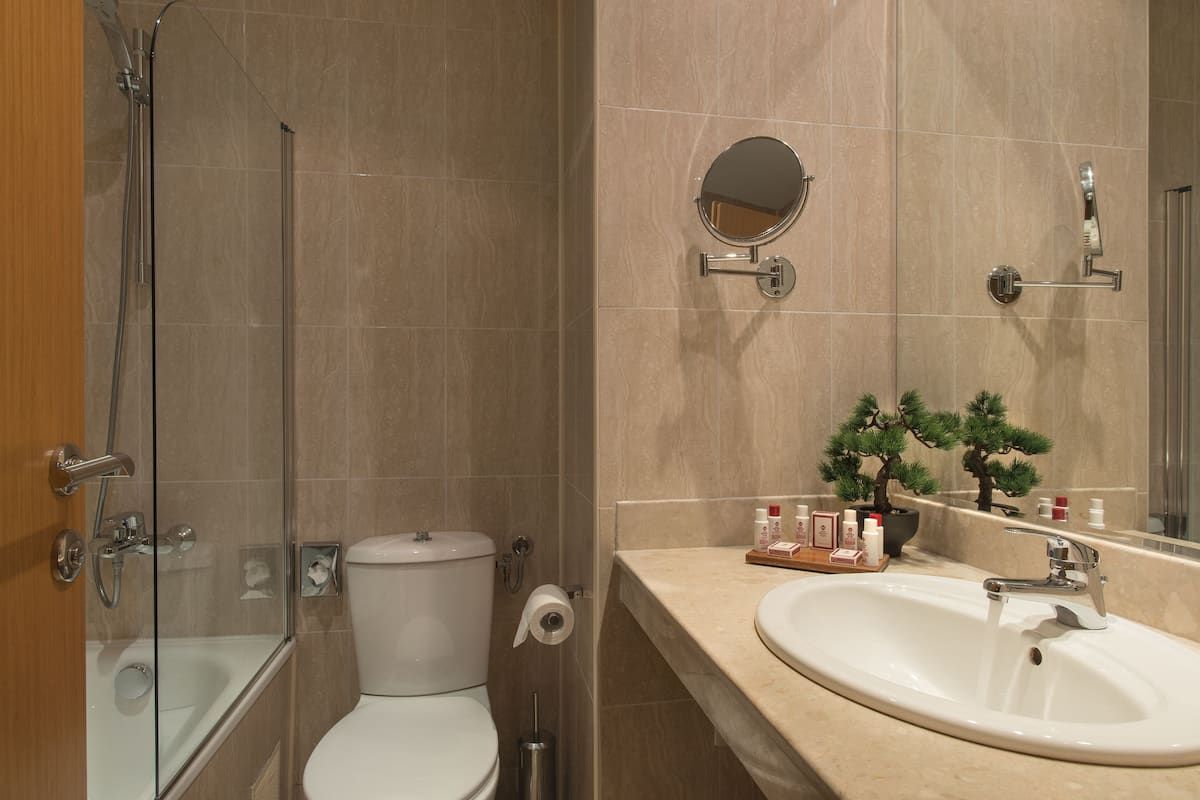 combined shower/bathtub, free toiletries, hair dryer, towels